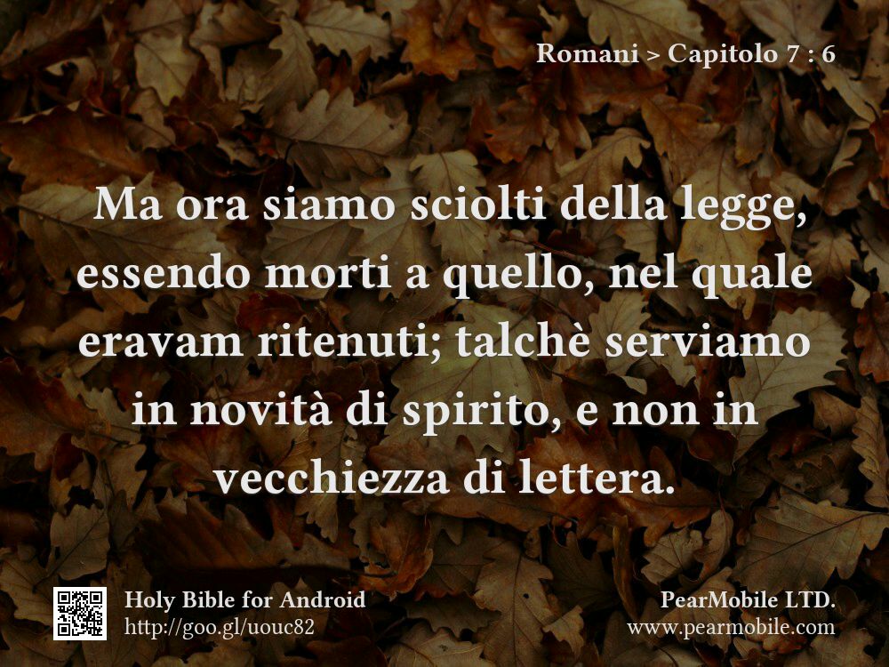 Romani, Capitolo 7:6